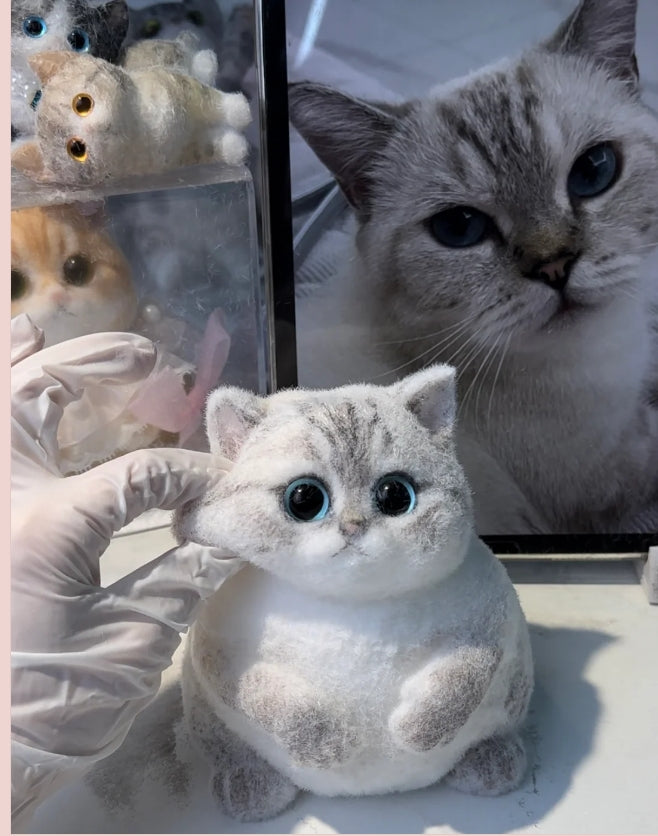 Chubby Soft English Short Silver Gradient Squishy Cat