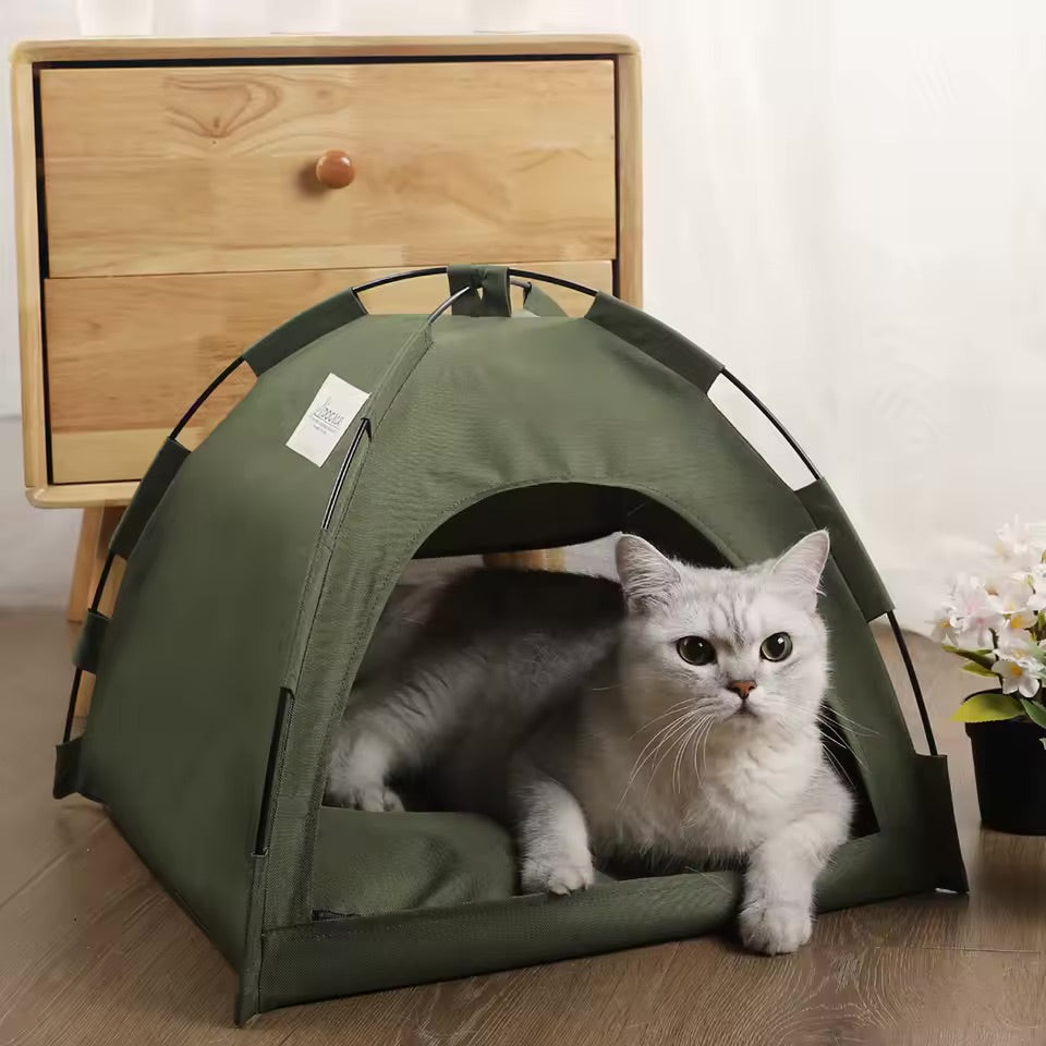Kitty Campout Tent