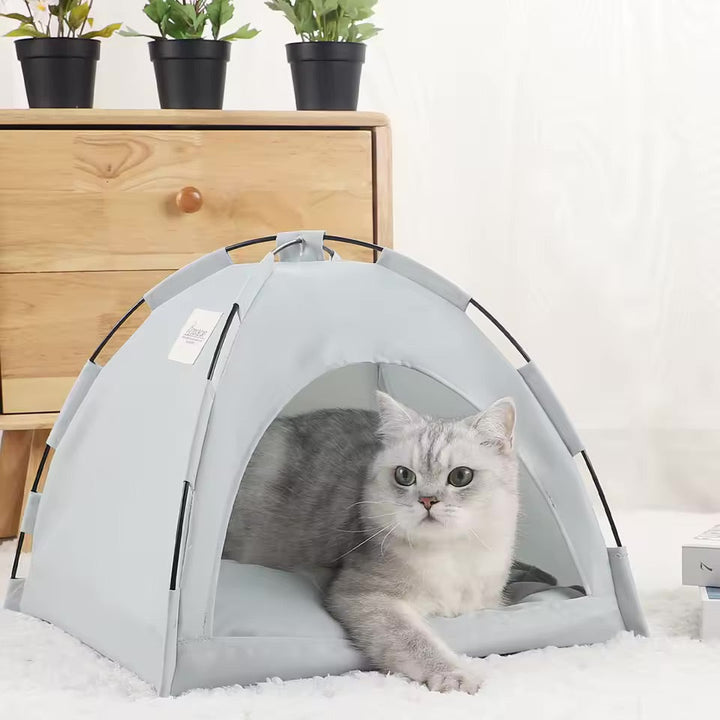 Kitty Campout Tent