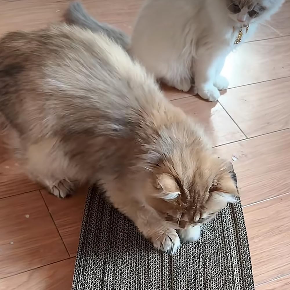 Rascador de cartón para gatos 