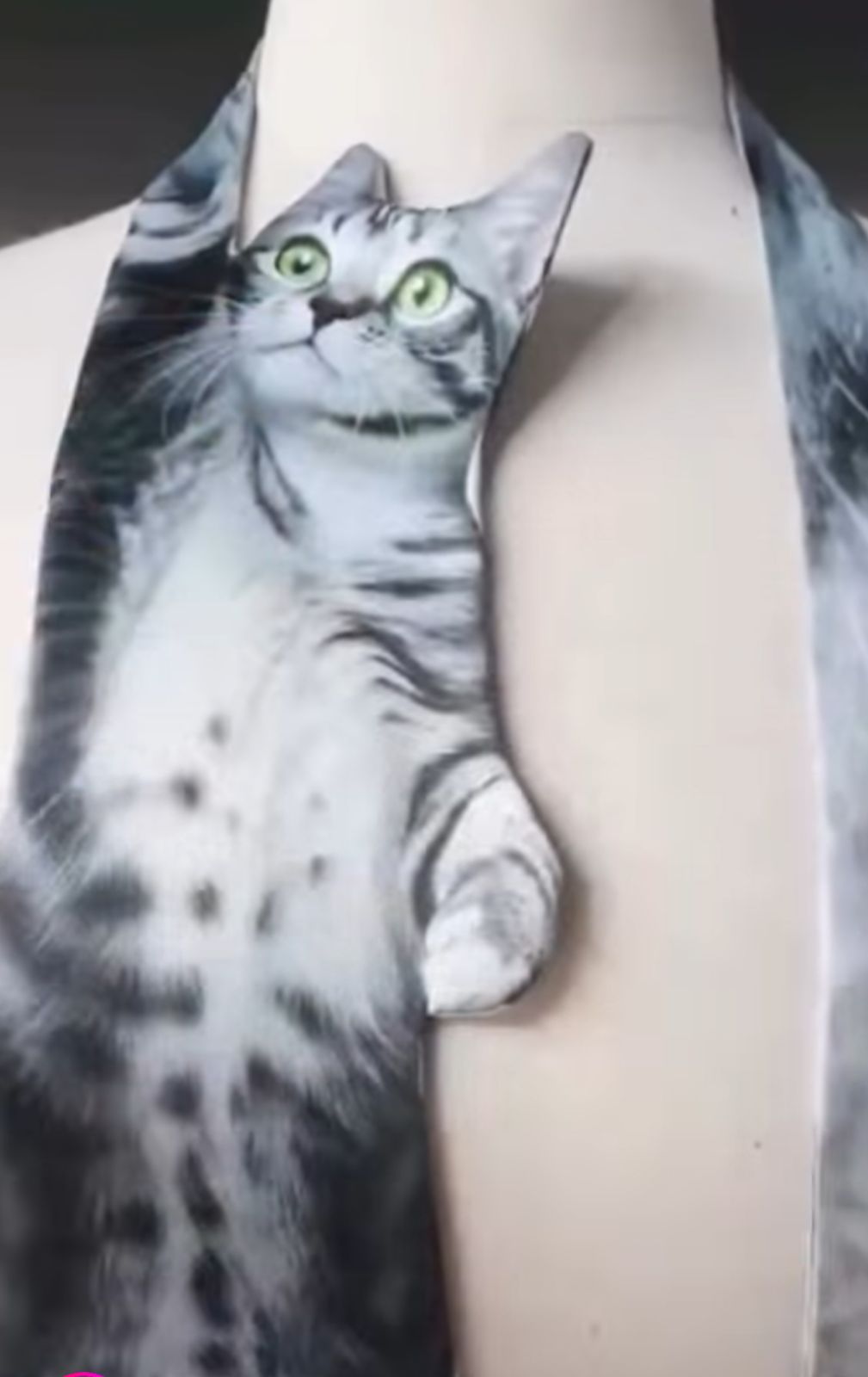 3D Cat Print Tie