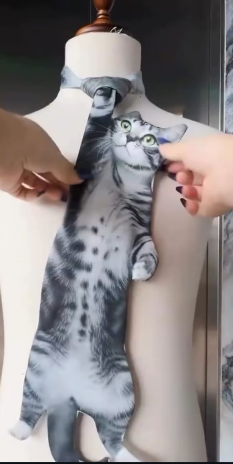 3D Cat Print Tie