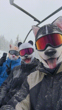 Artic Hound Masks